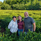 Planet Classy World Tea Tours: Expedition No. 1 — Redwood Tea Estate (Stockton, CA)