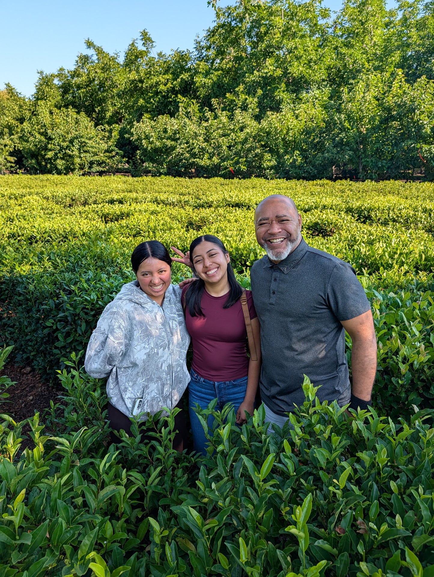 Planet Classy World Tea Tours: Expedition No. 1 — Redwood Tea Estate (Stockton, CA)