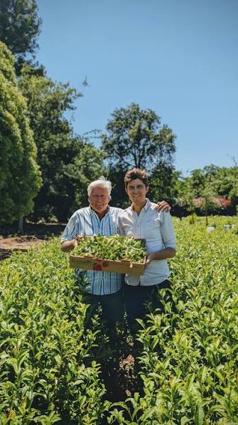 Planet Classy World Tea Tours: Expedition No. 1 — Redwood Tea Estate (Stockton, CA)