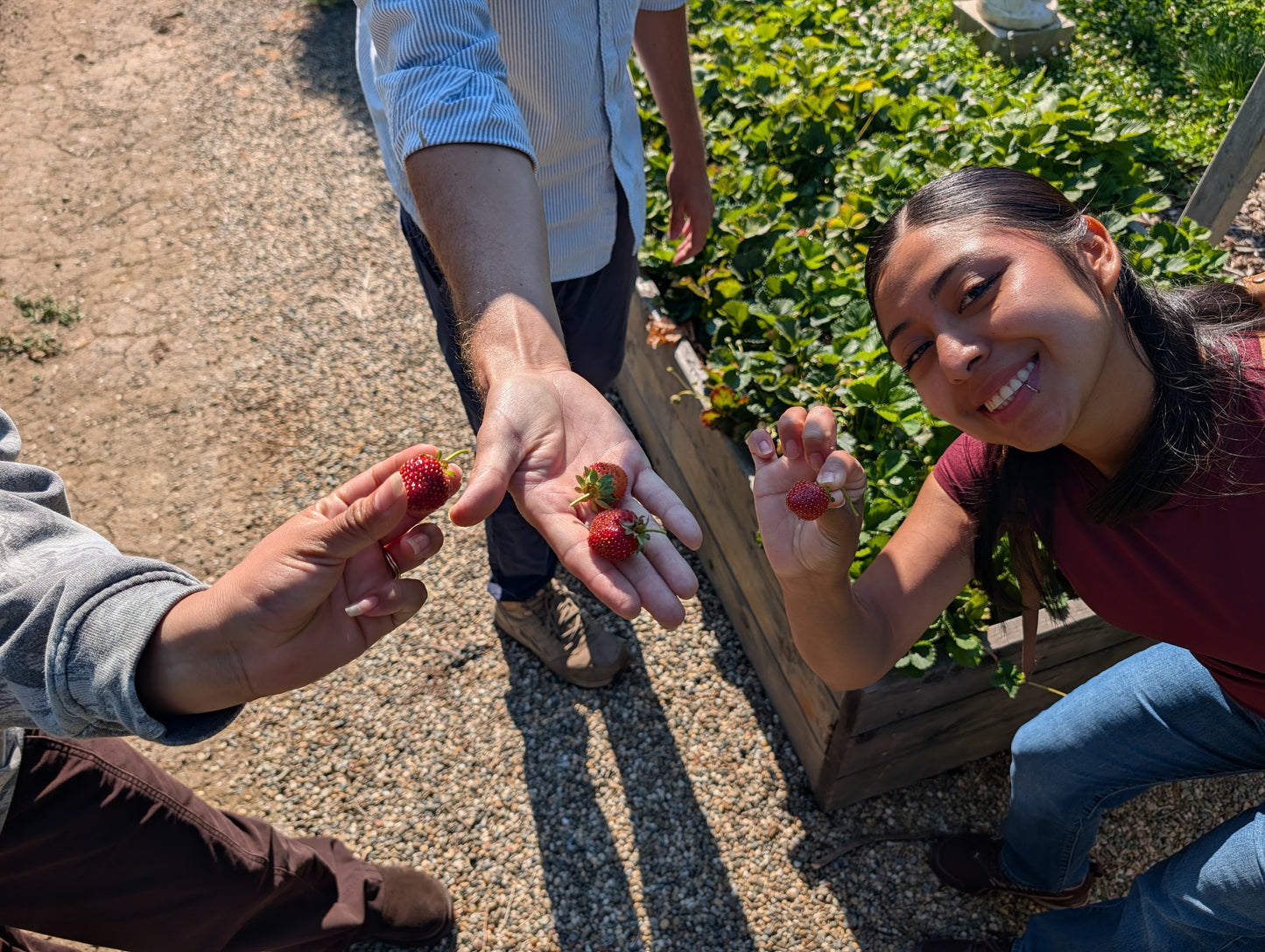 Planet Classy World Tea Tours: Expedition No. 1 — Redwood Tea Estate (Stockton, CA)